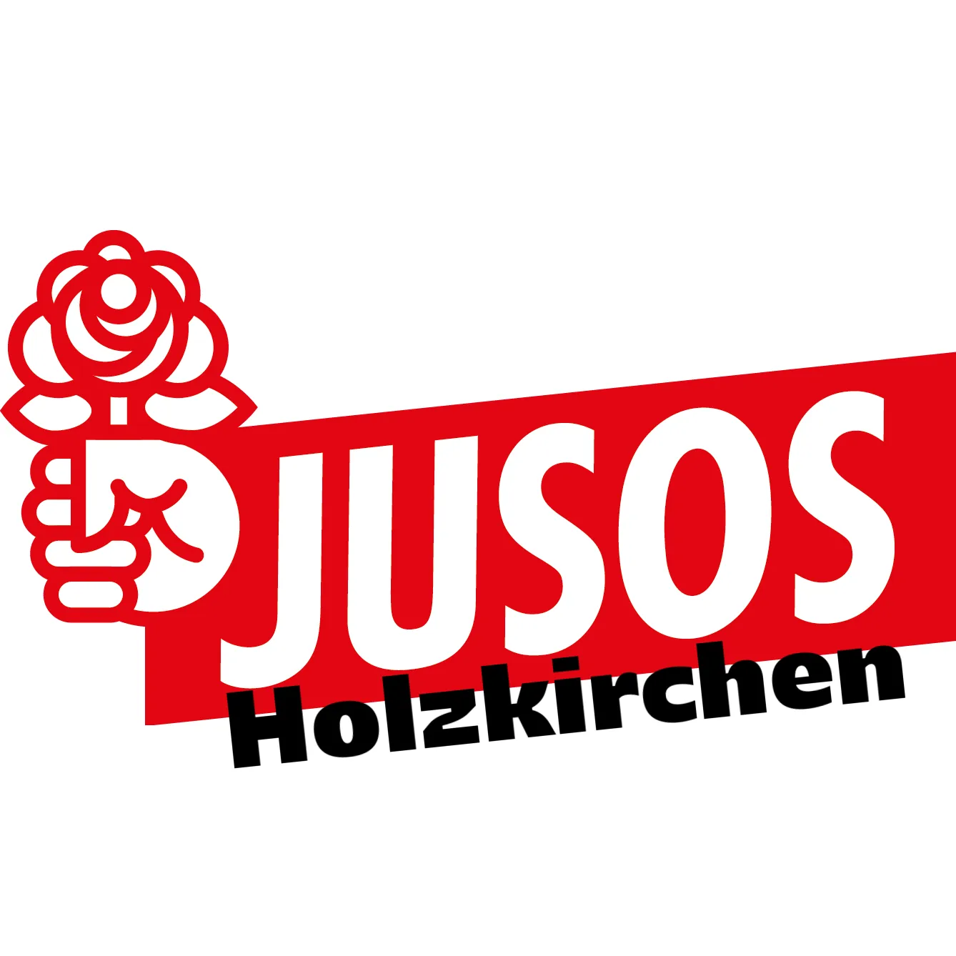 Logo von Jusos Holzkirchen